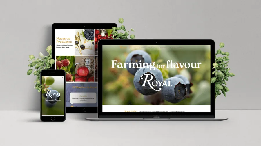 Redeseño web para Royal — Auve Nico